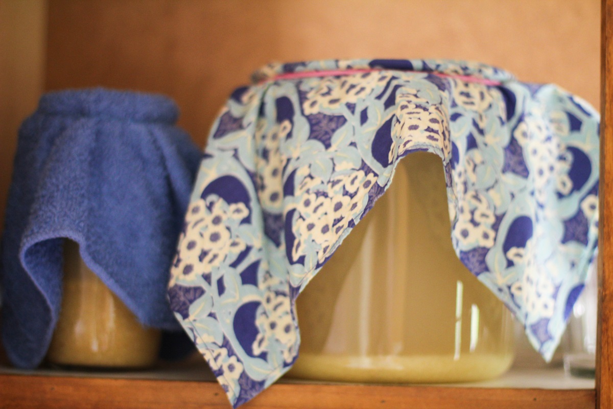 small jar and big jug of ginger beer on a shelf, covered with towels
