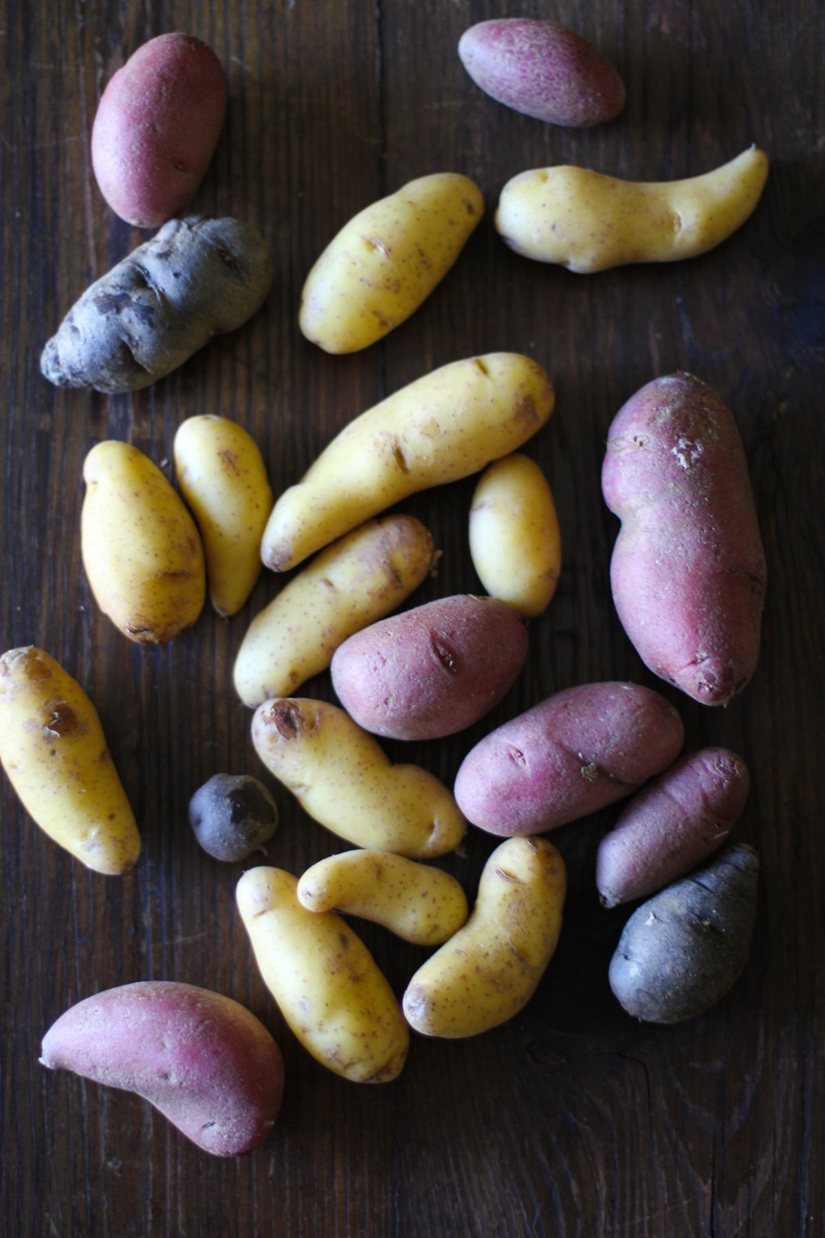 A variety of roasted fingerling potatoes in yellow, red, and purple colors are scattered on a dark wooden surface.