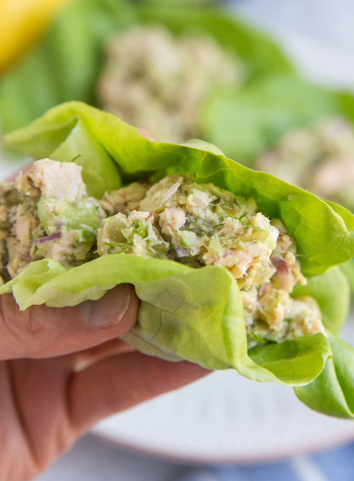 Healthy Mayo-Free Tuna Salad Lettuce Wraps with mashed avocado instead of mayonnaise. This healthy tuna salad recipe is a protein-packed satisfying lunch recipe. Paleo, keto, whole30, and delicious!