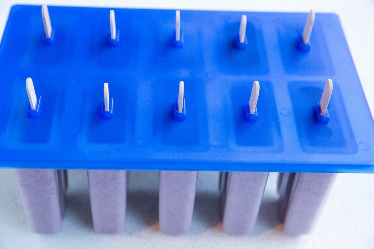 Popsicle mold with a cover and popsicle sticks, ready to freeze.