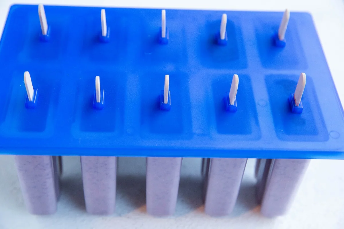 Popsicle mold with a cover and popsicle sticks, ready to freeze.
