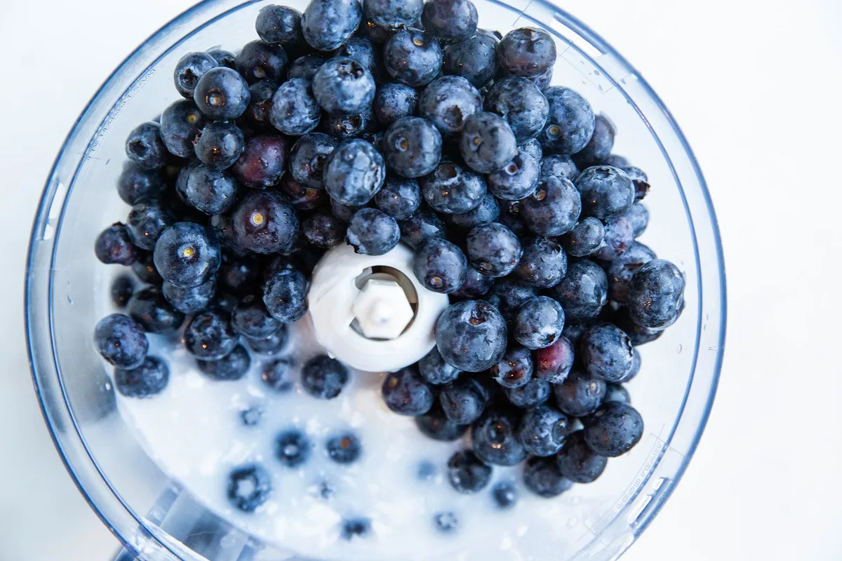 Blueberries, coconut milk, pure maple syrup and salt in a food processor