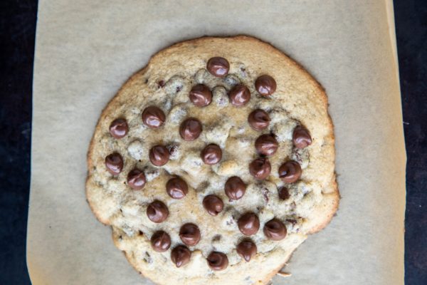 One huge chocolate chip cookie on a cookie sheet, fresh out of the oven.