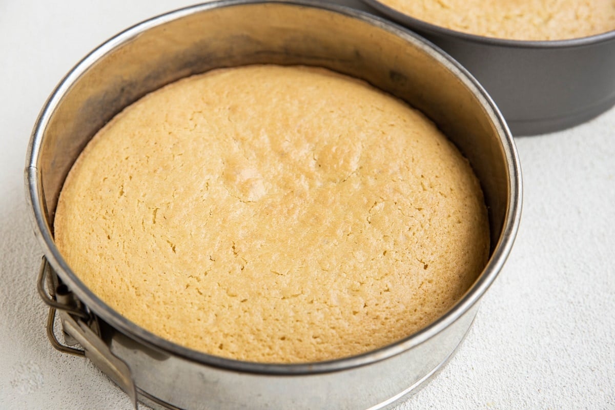 Two 8-inch cake pans with vanilla cake inside, fresh out of the oven.