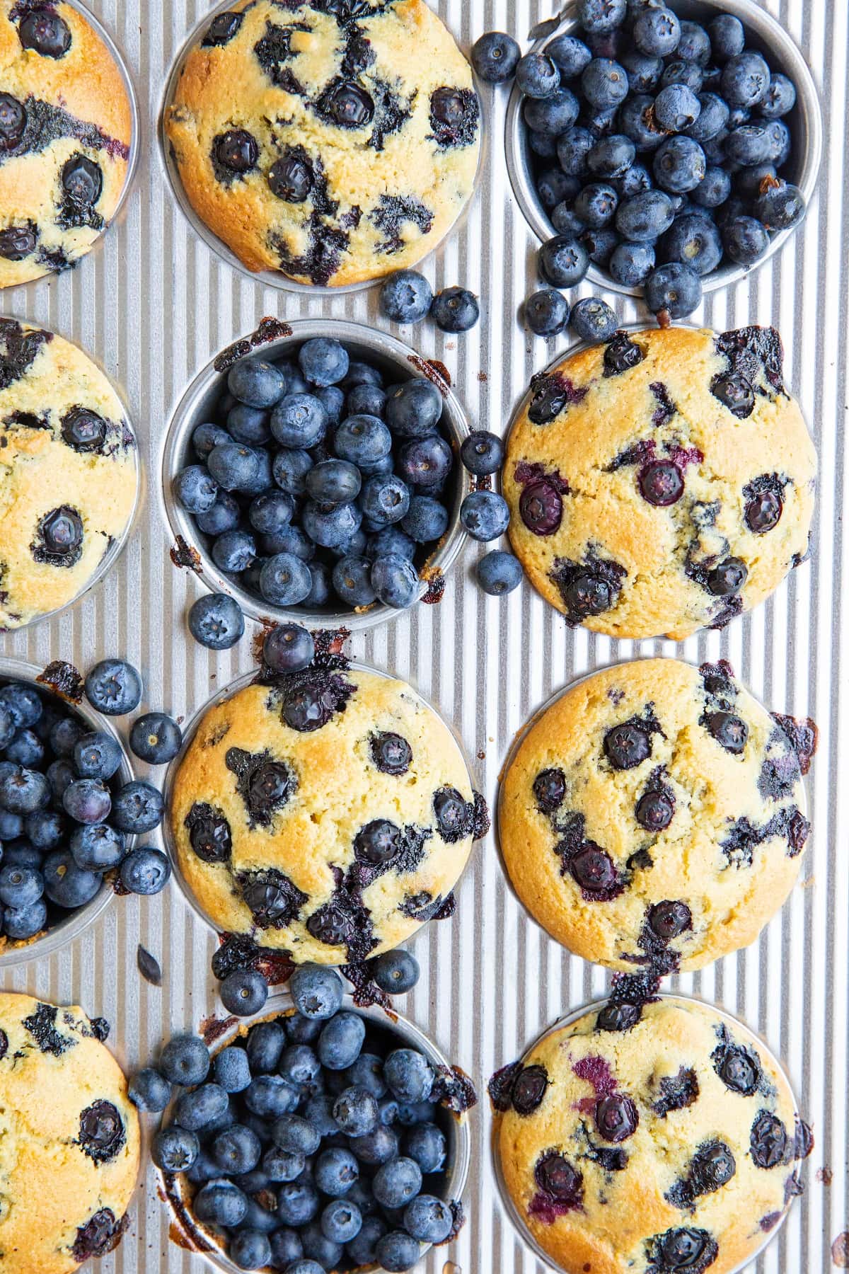 Muffin tray with blueberry muffins and fresh blueberries inside of some of the muffin holes