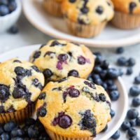 Two white plates with blueberry muffins and fresh blueberries all around.