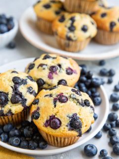 Two white plates with blueberry muffins and fresh blueberries all around.