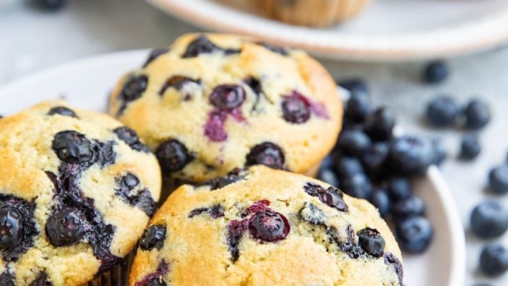 Two white plates with blueberry muffins and fresh blueberries all around.