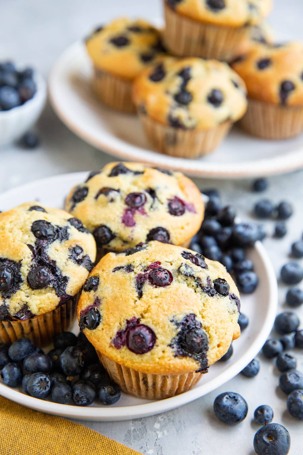 Two white plates with blueberry muffins and fresh blueberries all around.