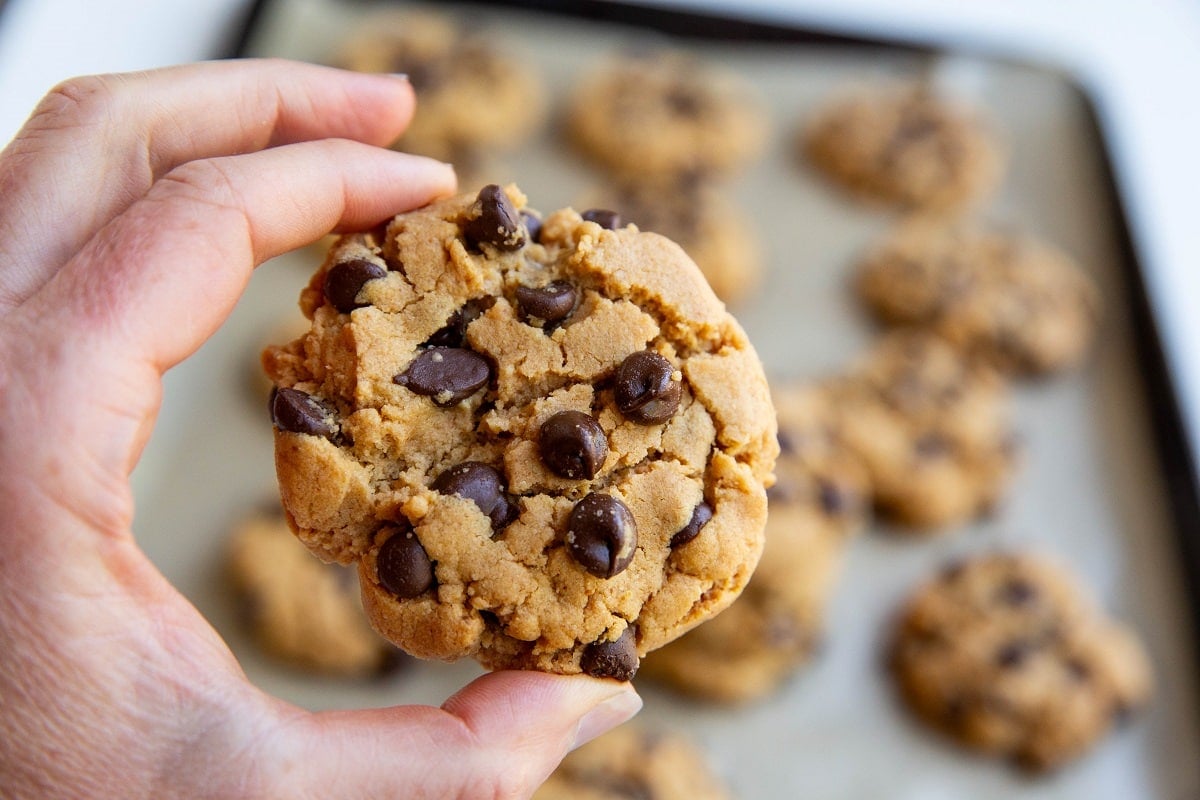 Hand holding one peanut butter chocolate chip cookie.