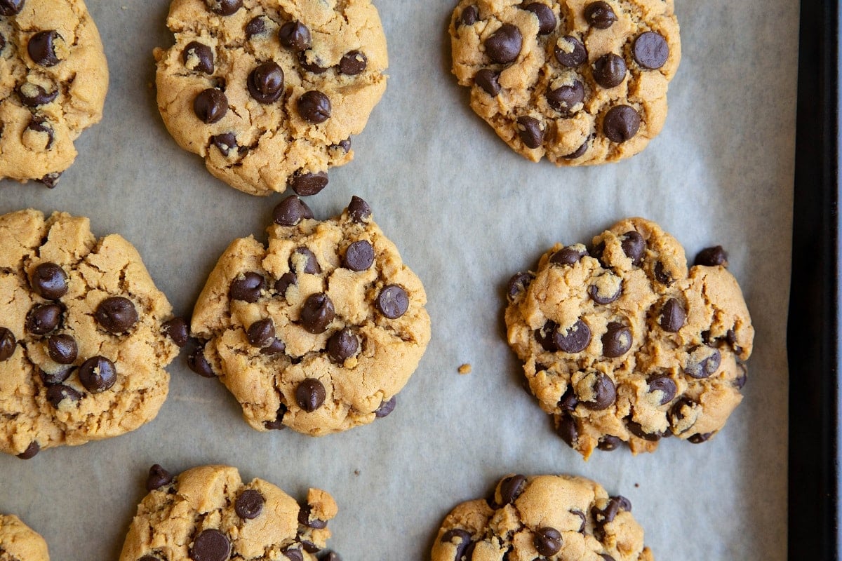 Peanut butter chocolate chip cookies on a cookie sheet, fresh out of the oven.