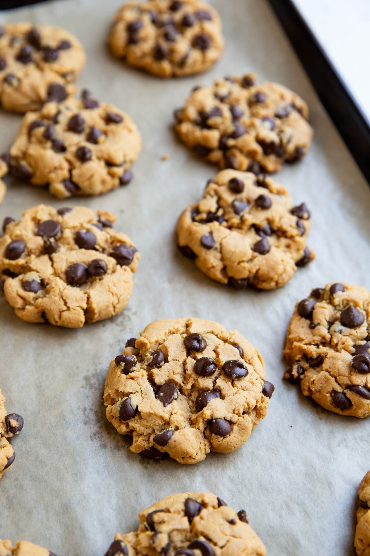 Peanut butter cookies on a baking sheet, fresh out of the oven.