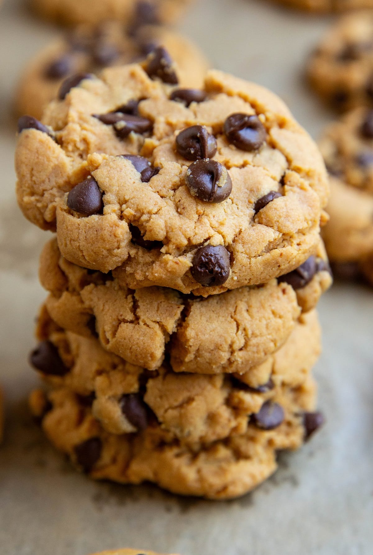 Stack of peanut butter chocolate chip cookies up close and personal.