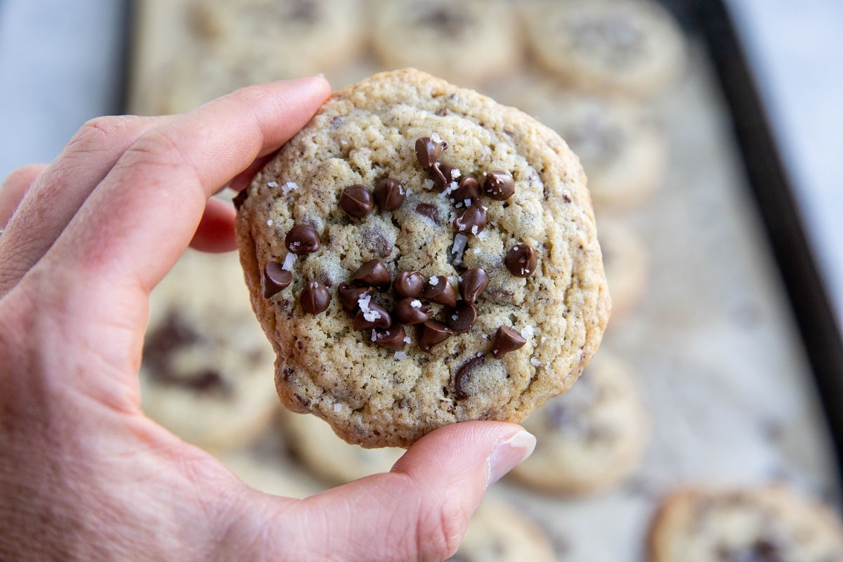 Hand holding an oat flour cookie.