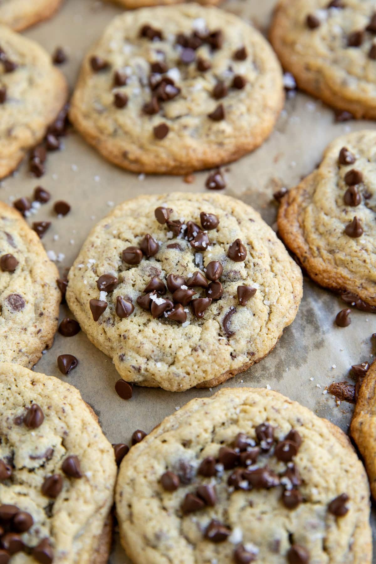 Baking sheet of freshly baked oat cookies.