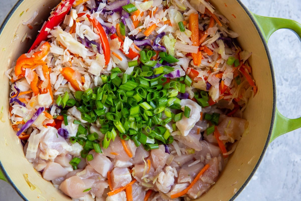 Pot of vegetables, raw chopped chicken pieces and green onions.