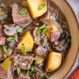 Big bowl of steak and potato soup with a bowl of chopped green onions and a red napkin to the side.