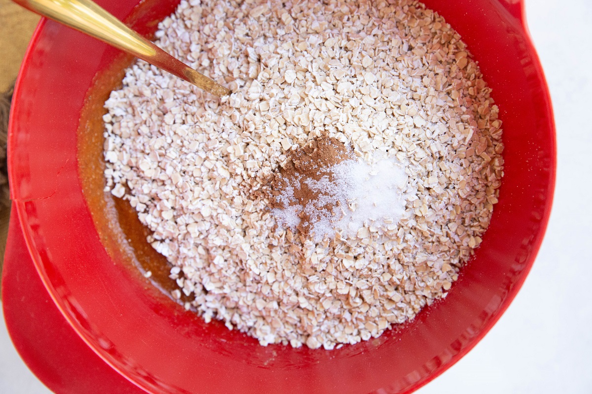 Oats and cinnamon on top of wet mixture in mixing bowl.