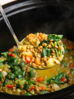 Ladle scooping out a scoop of curried lentil soup