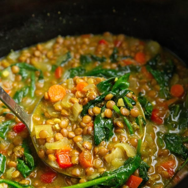 Ladle scooping some soup out of the crock pot.