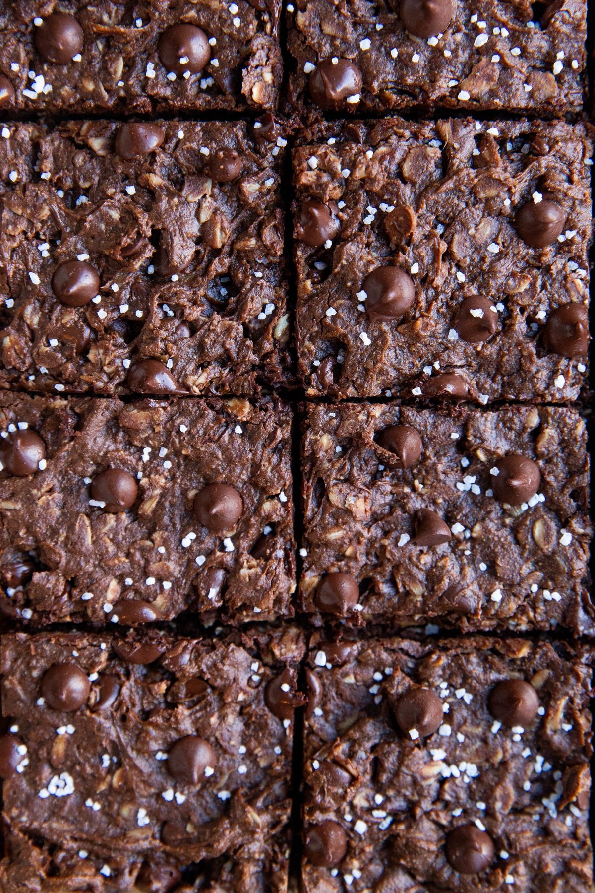 Double chocolate peanut butter oatmeal cookie bars cut into squares.