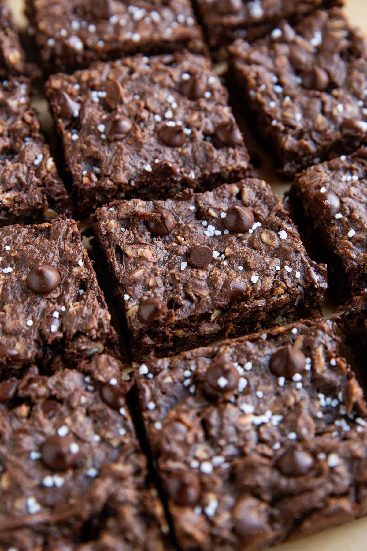 Chocolate peanut butter oatmeal cookie bars cut into individual squares