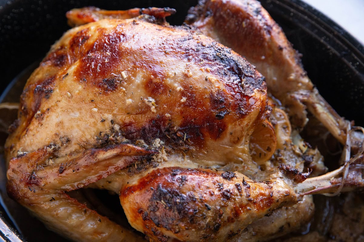 Roast turkey in a roasting pan, fresh out of the oven.