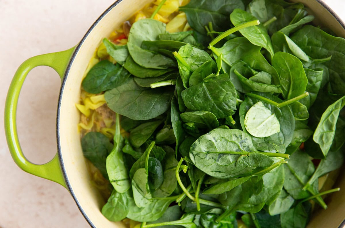 Baby spinach on top of soup in a pot.