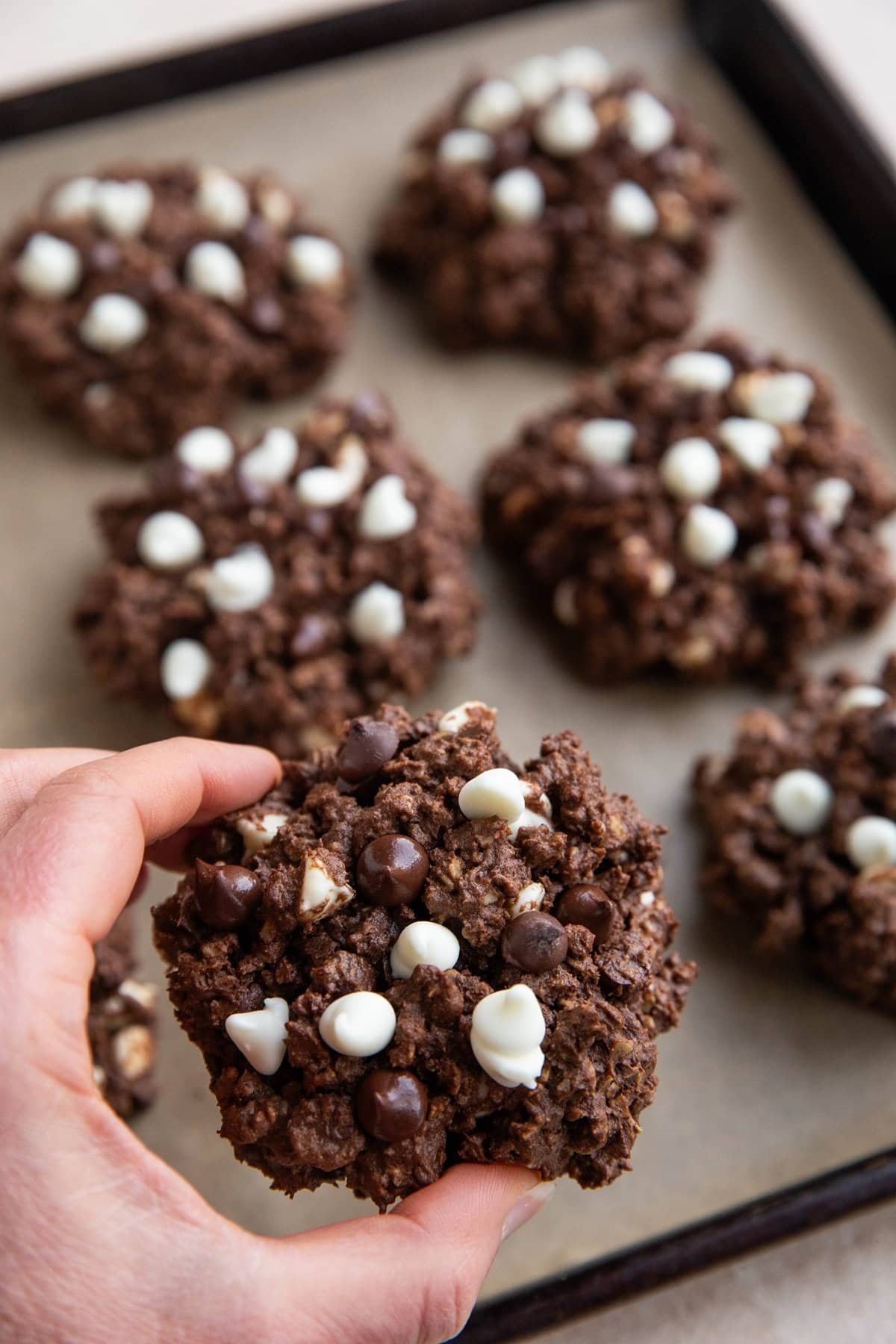 Hand holding a double chocolate peanut butter oatmeal cookie off of a baking sheet.