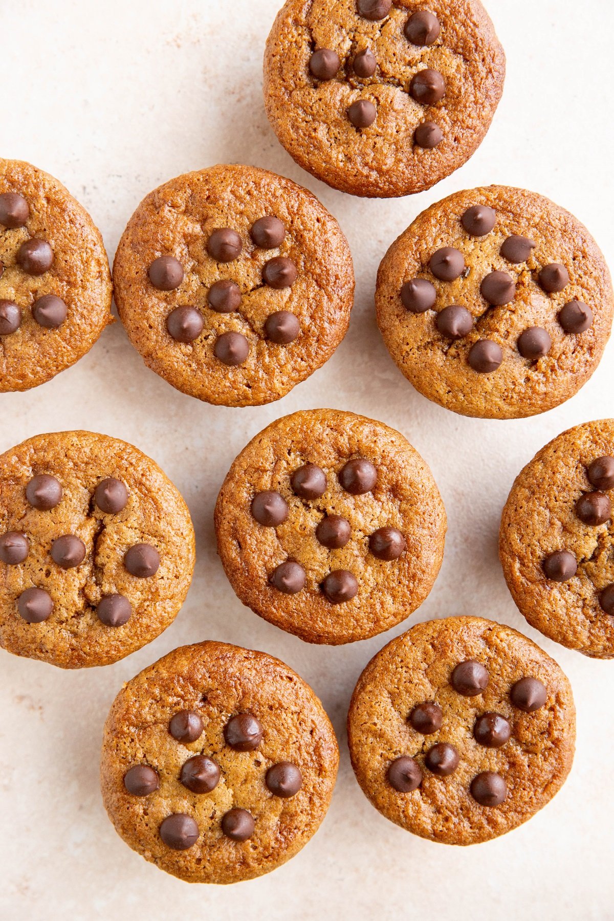 Sweet potato muffins with chocolate chips sitting on a background.