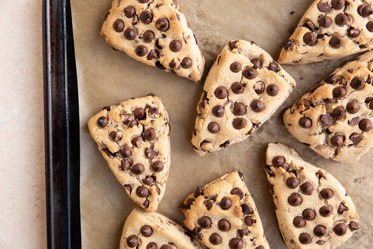 Chocolate chip gluten-free scones on a cookie sheet, fresh out of the oven.