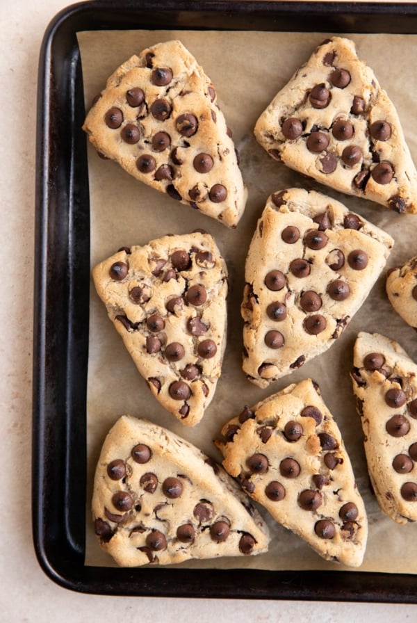 Baking sheet of chocolate chip scones, ready to eat.