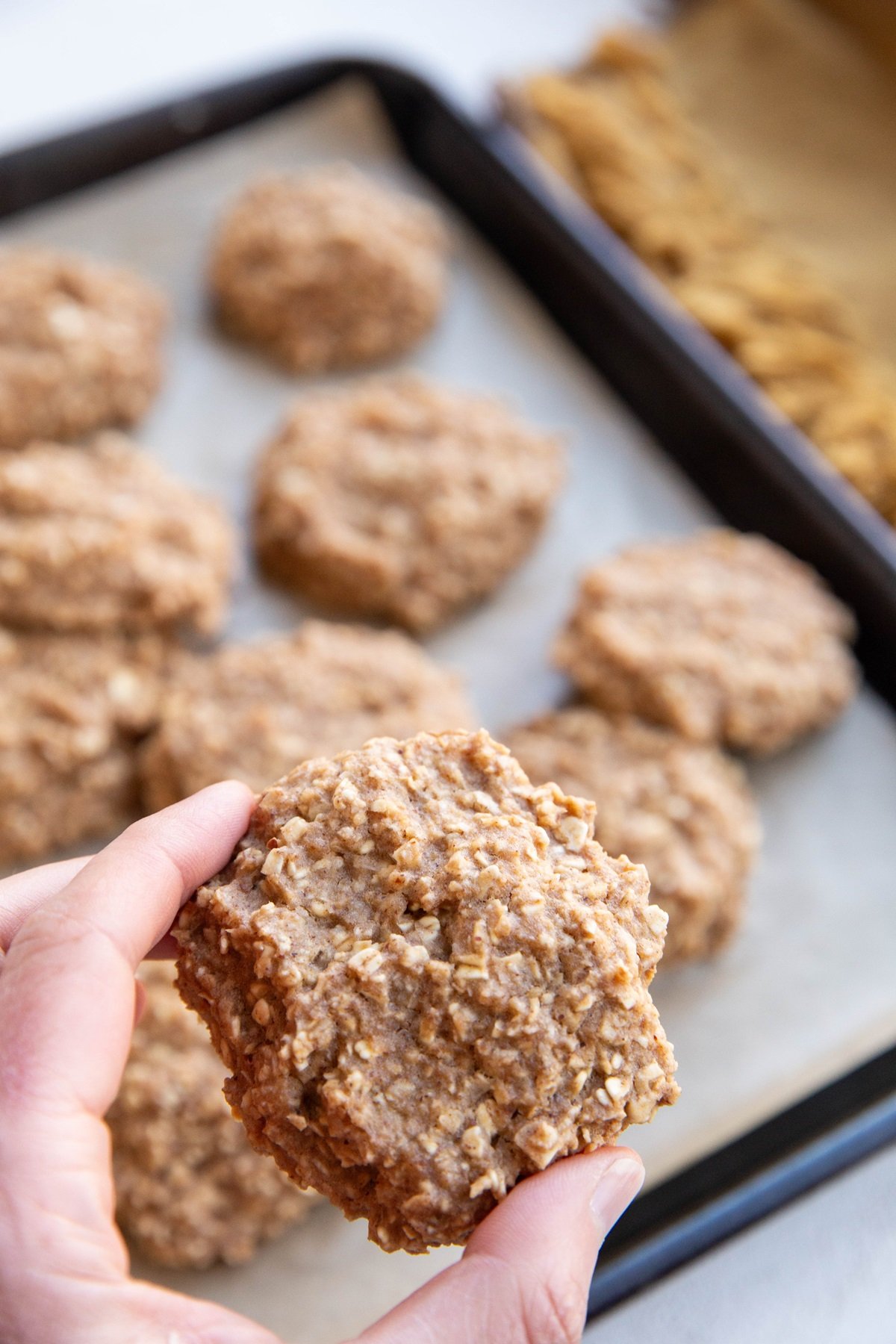 Hand holding an applesauce oatmeal cookie, ready to take a bite, with the rest of the baking sheet of cookies in the background.