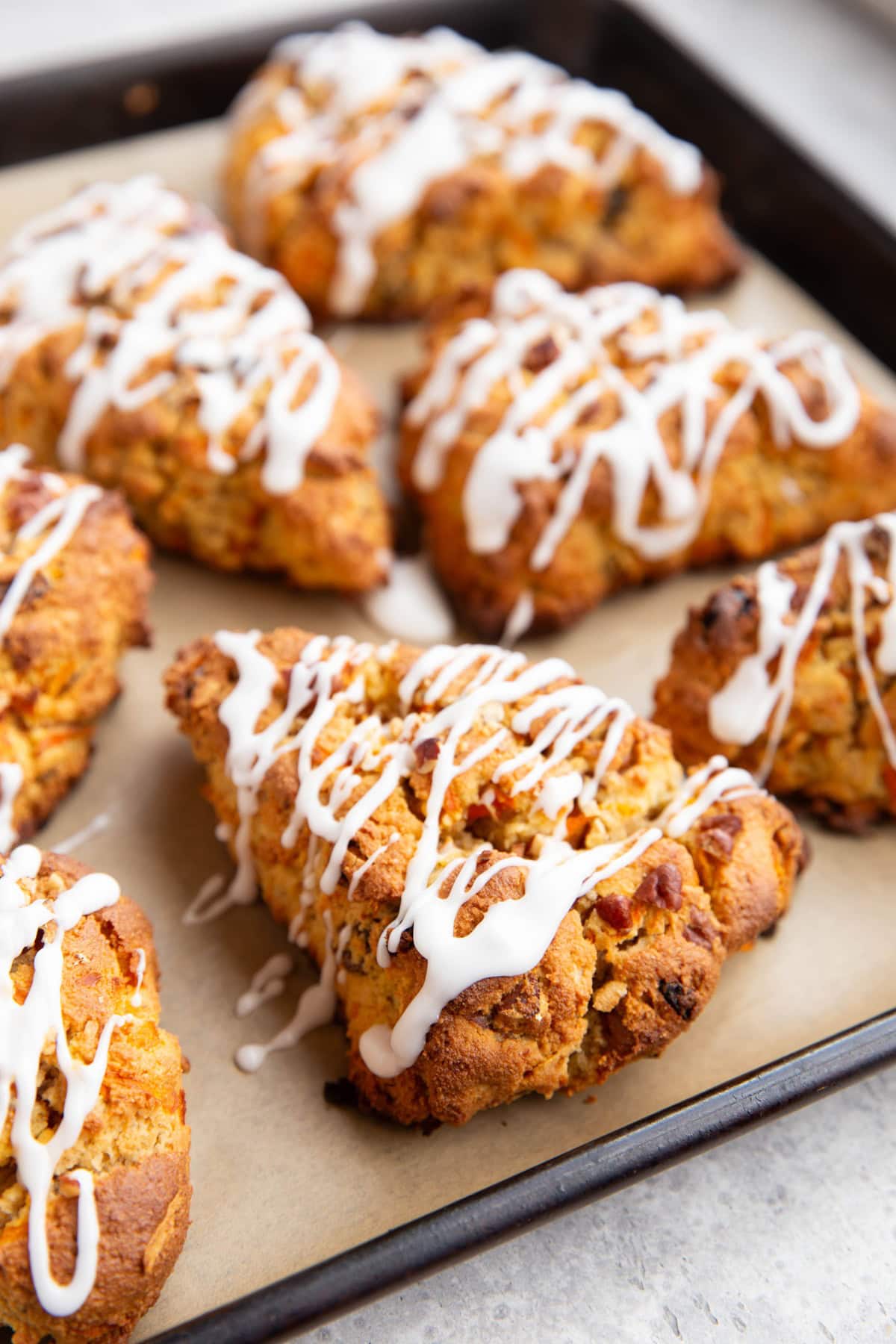 Large baking sheet full of carrot cake scones, drizzled with glaze. Ready to eat!