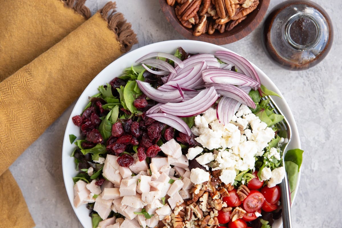 Big salad with chicken, pecans, tomatoes, onion, and dried cranberries.