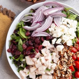 Salad in a large bowl with chicken, pecans, feta cheese, red onion, dried cranberries, and tomatoes
