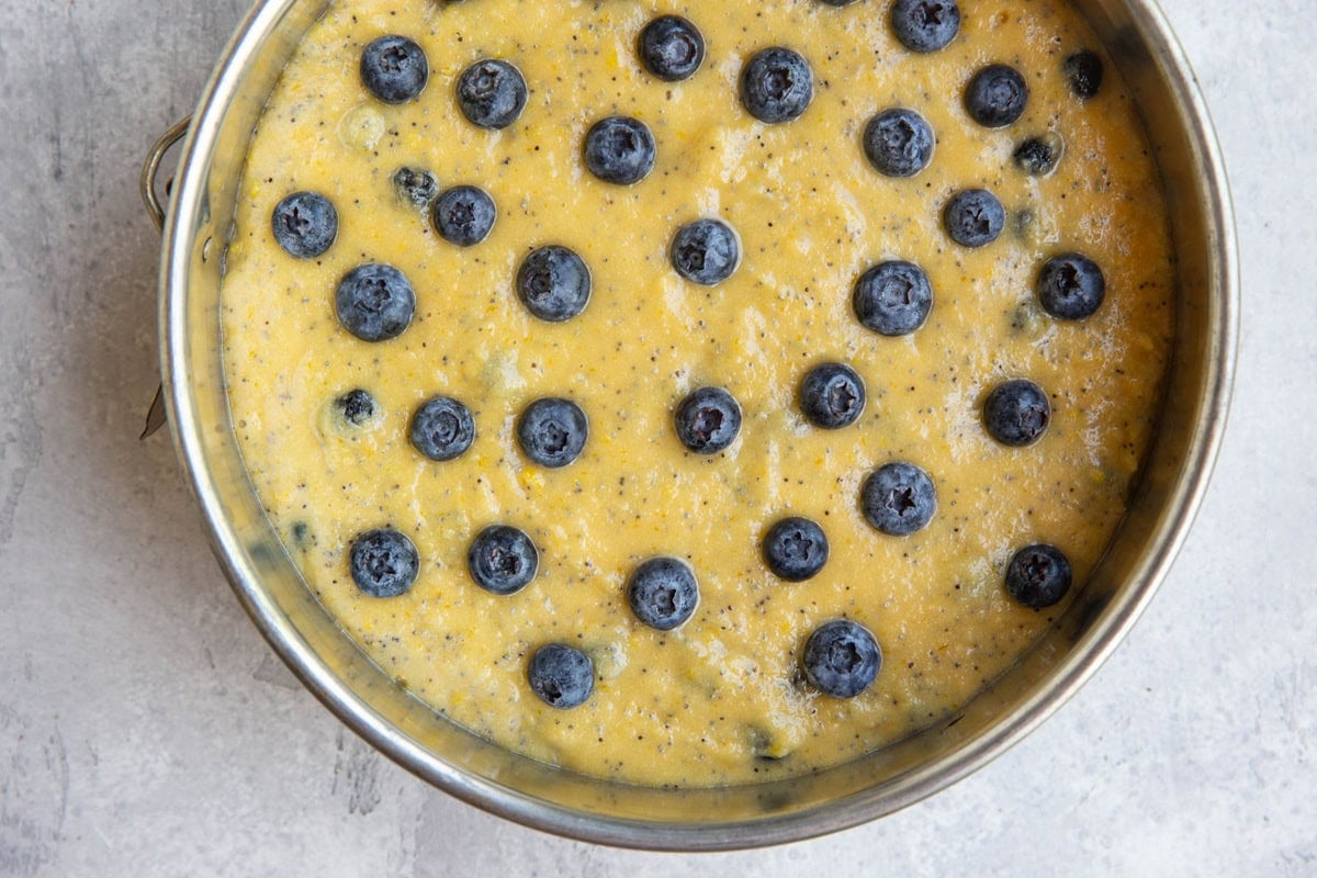 Spring form cake pan full of lemon cake batter with fresh berries on top. Ready to go into the oven.