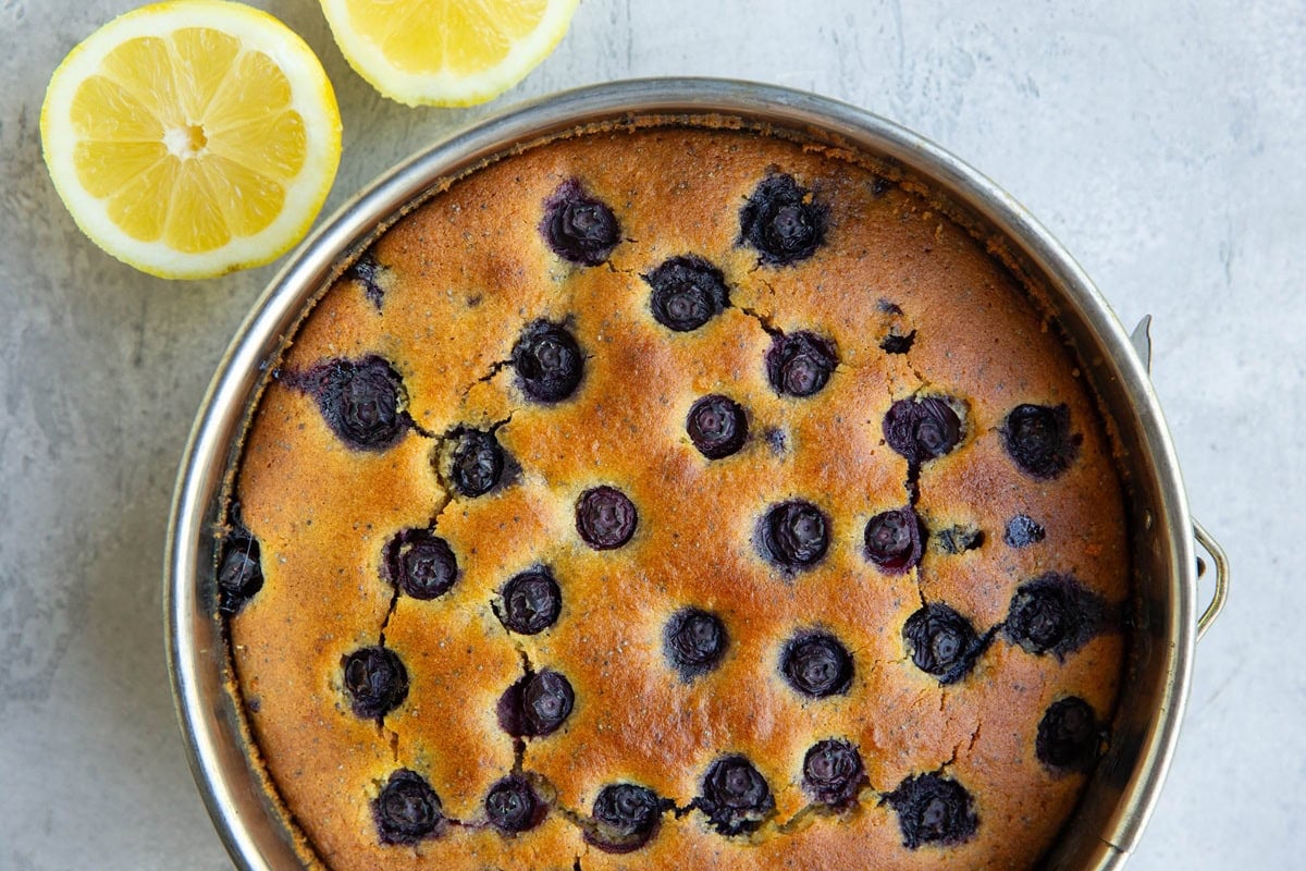 Cake pan with finished lemon blueberry cake inside.