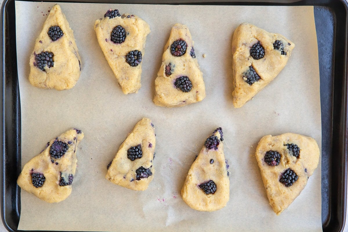 Baking sheet with blackberry scone dough on top of parchment paper. Ready to go into the oven.