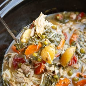 Slow cooker chicken stew with fresh vegetables inside of a crock pot with a ladle taking some of the stew out.