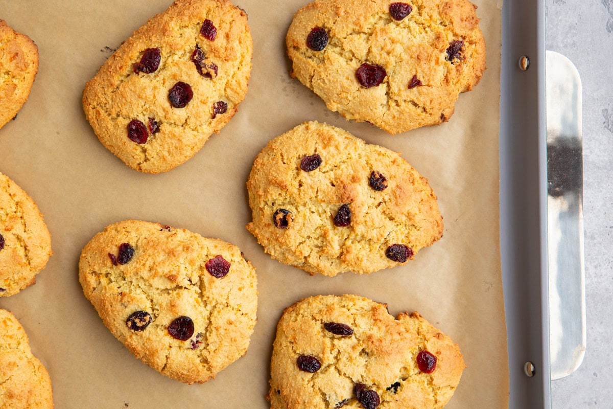 Cranberry orange scones on a baking sheet fresh out of the oven.