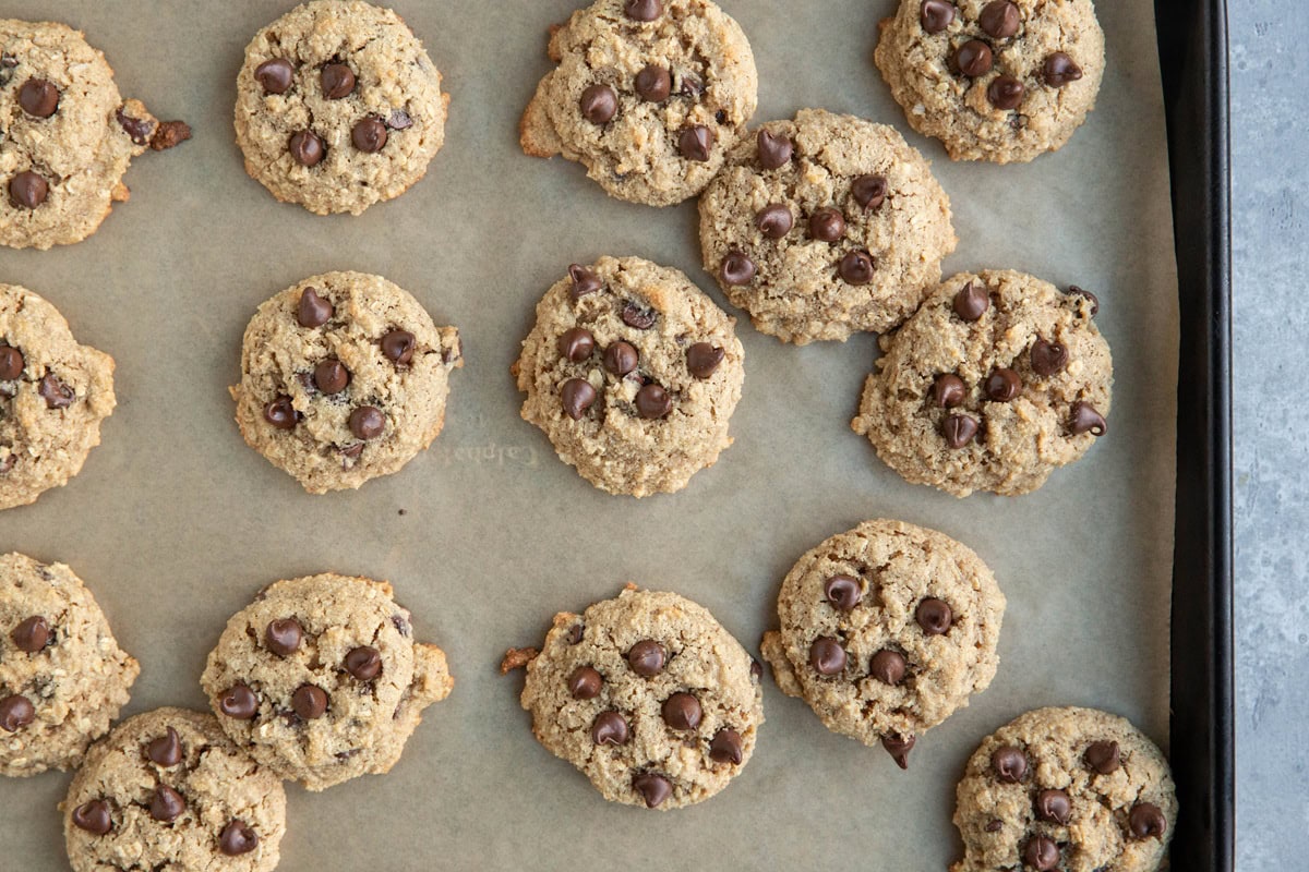 Chocolate chip almond flour oatmeal cookies on a baking sheet fresh out of the oven.