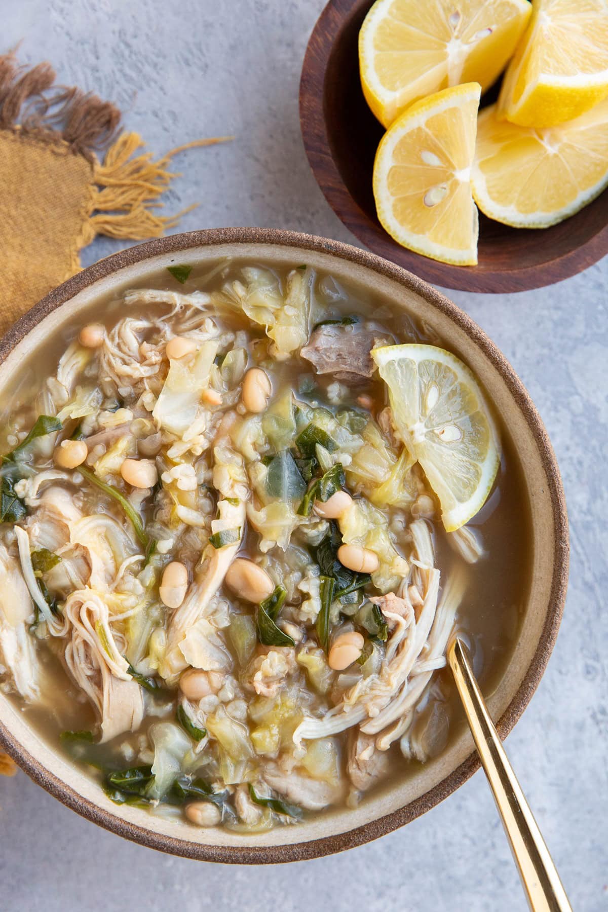 Big bowl of chicken and cabbage soup with a small bowl of sliced lemons.