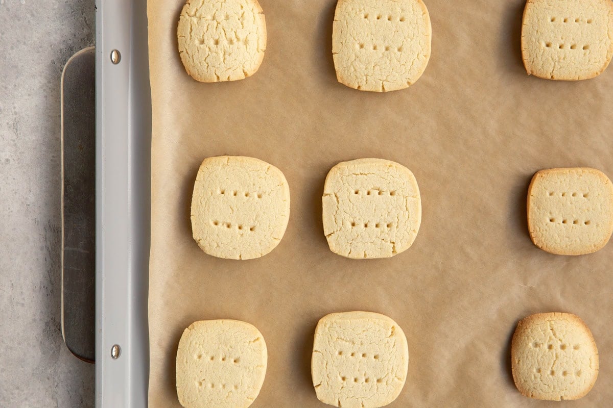 Baking sheet with finished shortbread cookies on top of a sheet of parchment paper, fresh out of the oven.