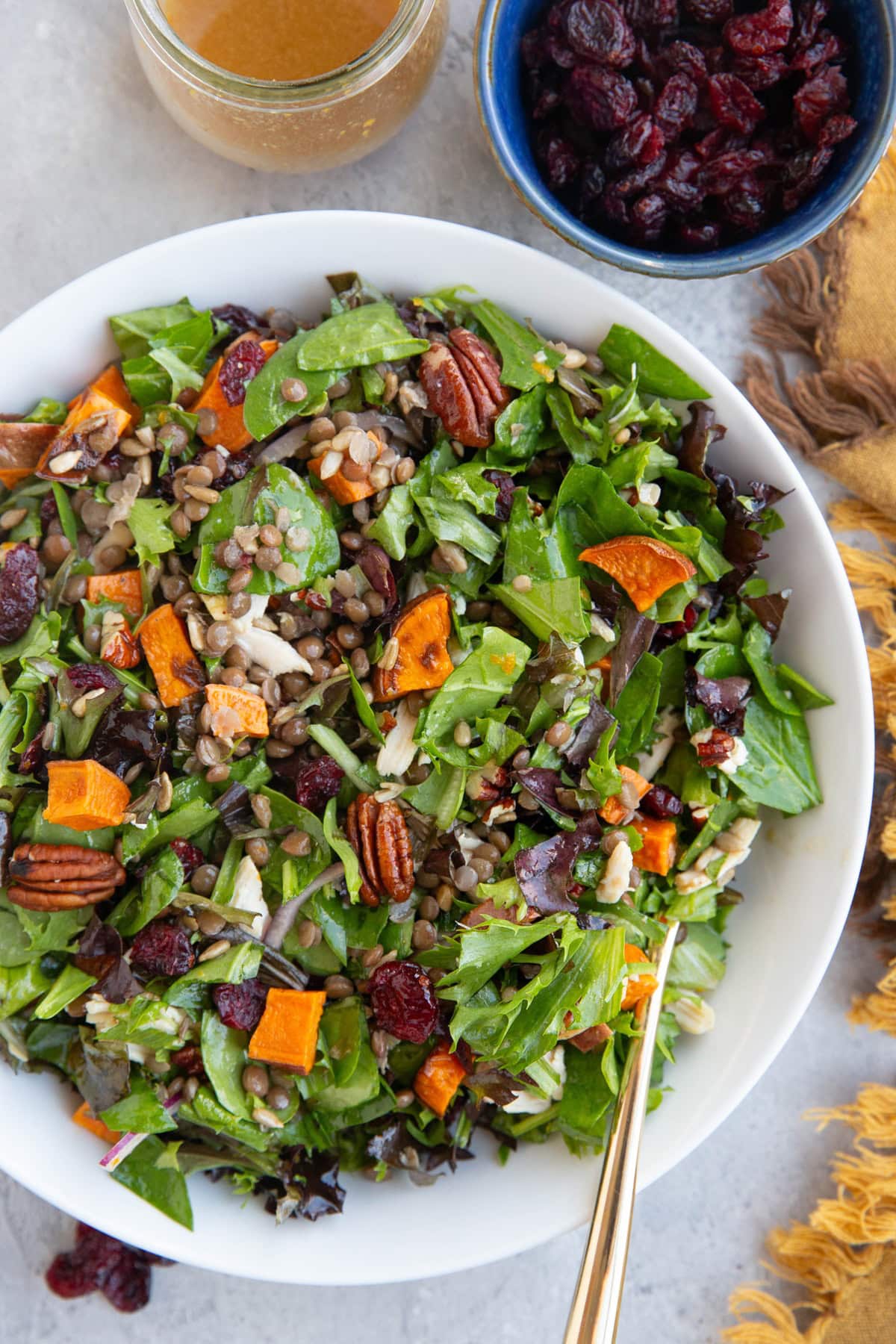large white bowl full of salad with roasted sweet potato, chicken, pecans, dried cranberries, lentils, read onion, and more. A bowl of dried cranberries and a jar of dressing to the side.