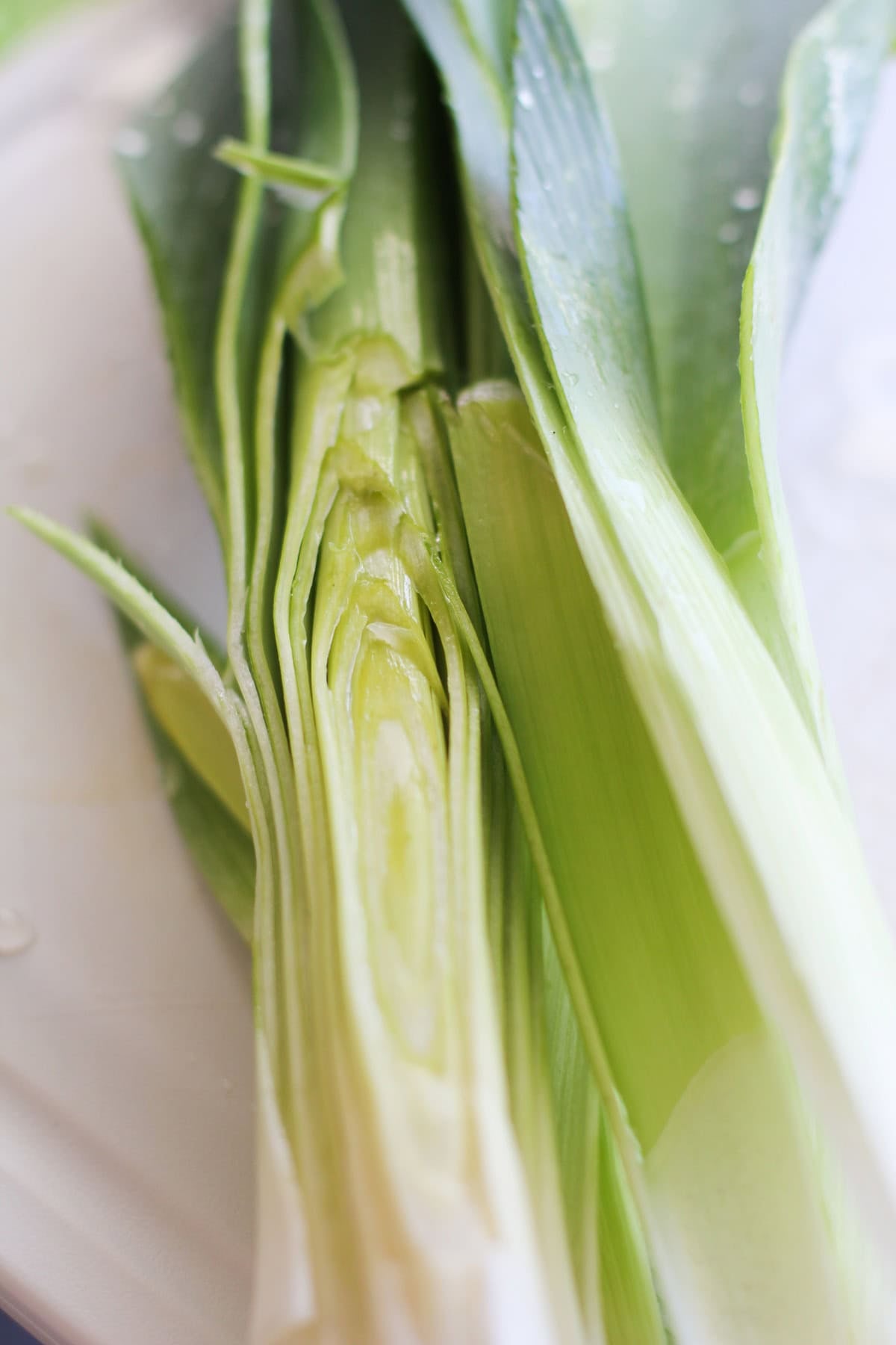Leek sliced in half down the center to expose the inside.