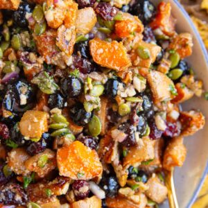 Big bowl of sweet potato salad with pumpkin seeds, blueberries, pecans, and more. A golden spoon inside of the bowl, ready to serve.