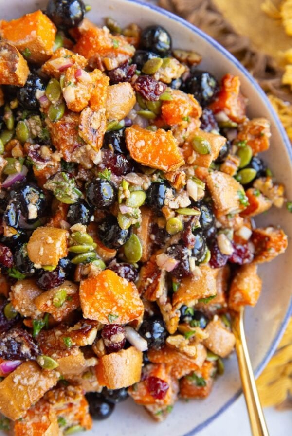 Big bowl of sweet potato salad with pumpkin seeds, blueberries, pecans, and more. A golden spoon inside of the bowl, ready to serve.